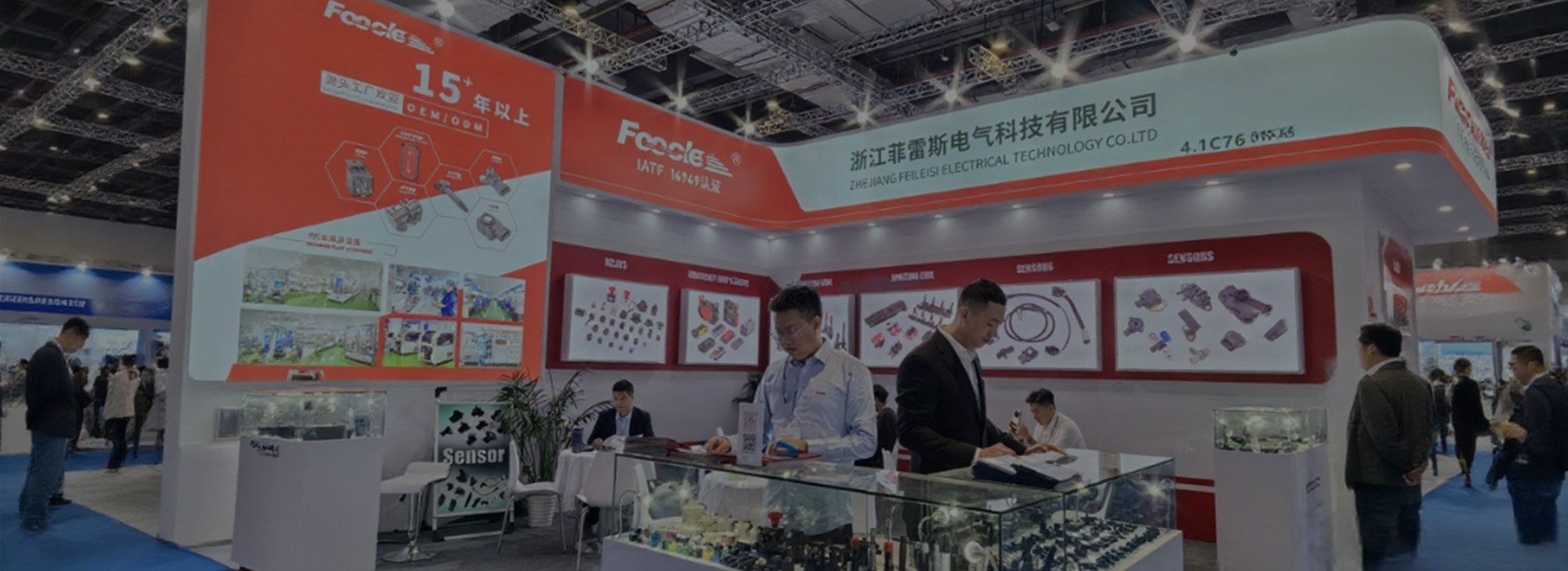 Your Reliable Automotive Relay Partner