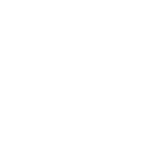 automotive spdt relay